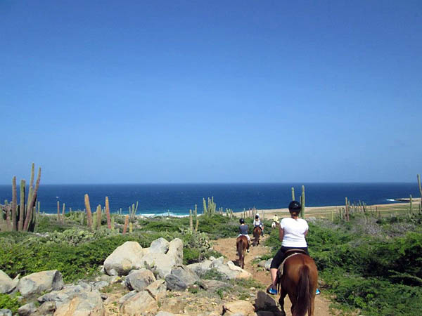 Horseback riding