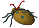 Brown Bug